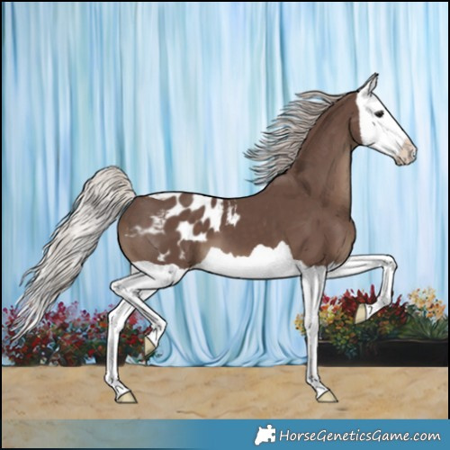 Horse Color:Silver Black Splash Blanket
