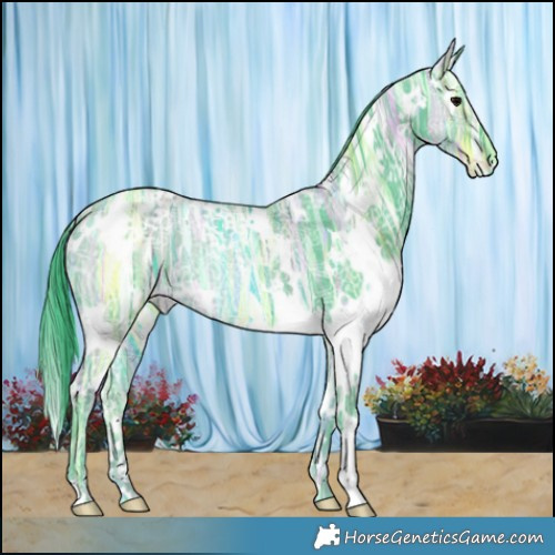 Horse Color:Watercolor White Spotted Black Ice Varnish Rabicano