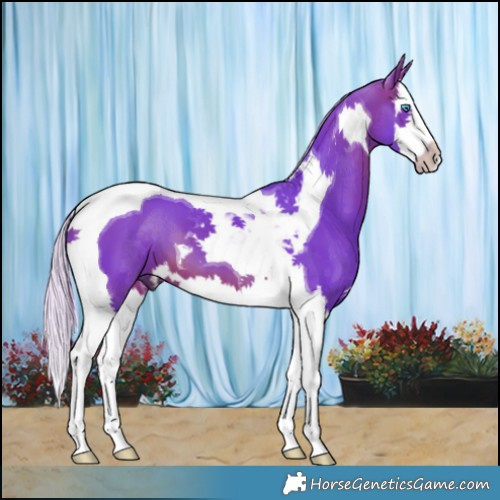 Horse Color:Watercolor Silver Brown Splash Tobiano 