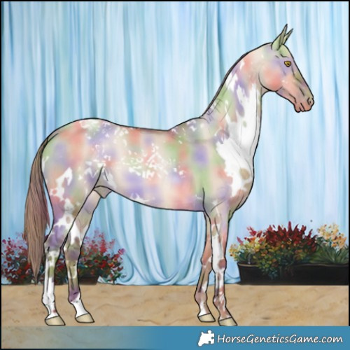 Horse Color:Nacre White Spotted Brown Pearl Dun