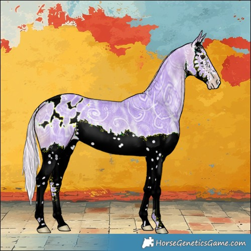 Horse Color:Watercolor White Spotted Silver Brown Ice Splash Blanket Rabicano 