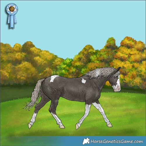 Horse Color:Silver Smoky Black Splash Tobiano Rabicano