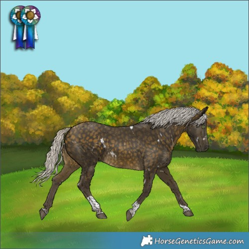 Horse Color:White Spotted Silver Buckskin Tobiano 