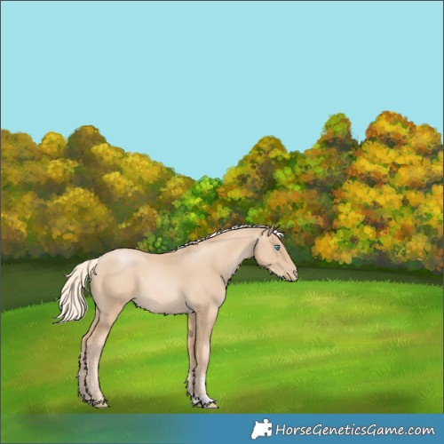 Horse Color:Palomino Pearl 