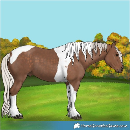 Horse Color:Silver Black Tobiano 