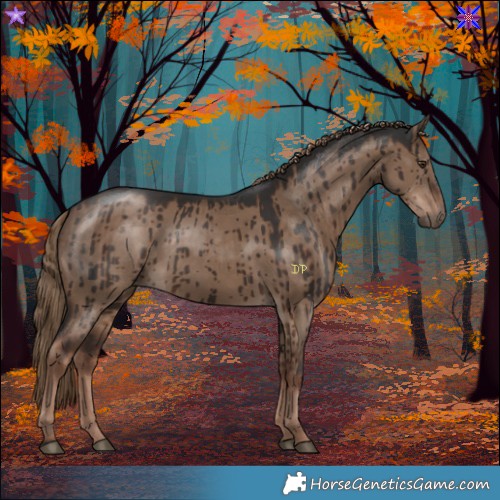 Horse Color:Liver Red Dun Rabicano Brindle