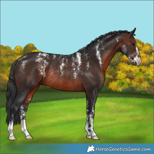 Horse Color:Powder White Brown Rabicano 
