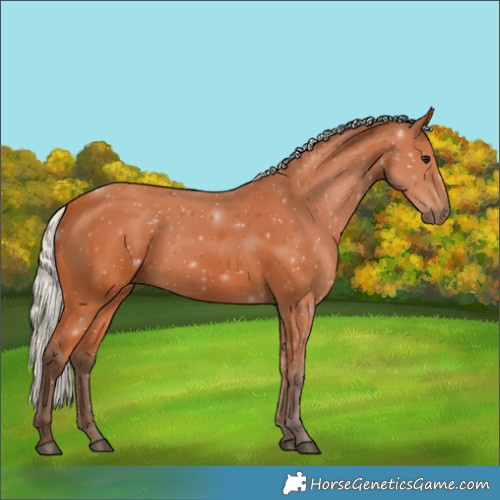 Horse Color:Silver Bay 