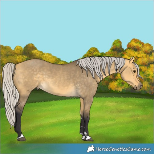 Horse Color:Unknown 