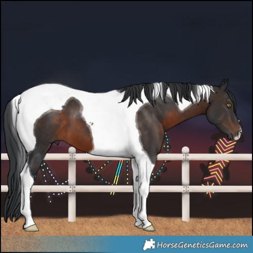 Horse Color:Brown Tobiano