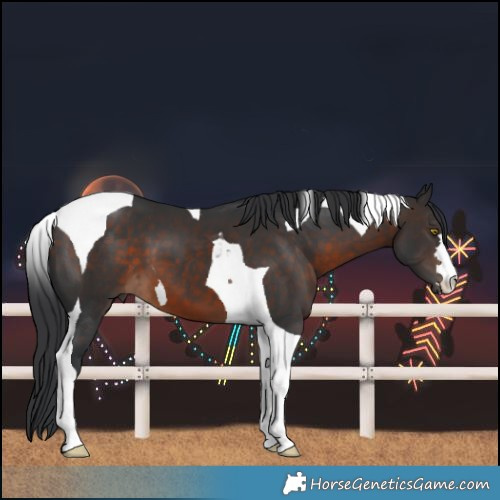 Horse Color:Brown Tobiano 