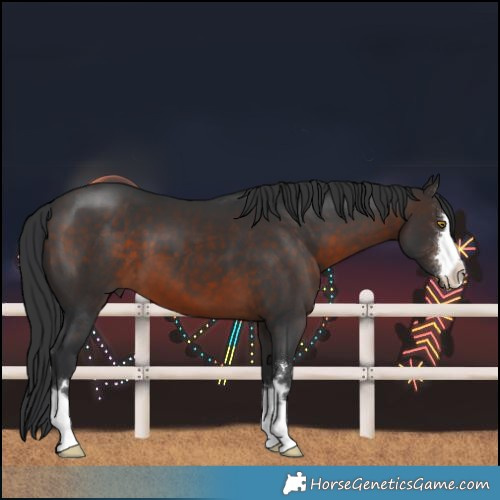 Horse Color:Brown 