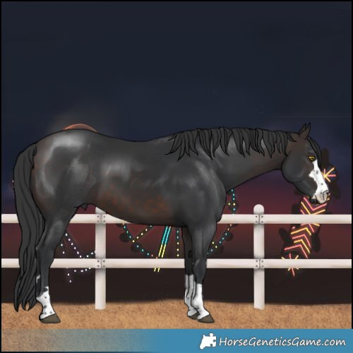 Horse Color:Brown 
