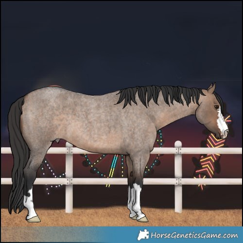 Horse Color:Brown Roan Dun 