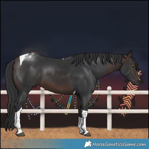Horse Color:Bay Tobiano 