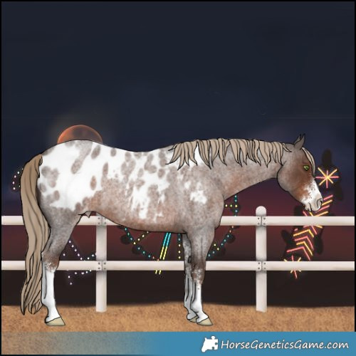 Horse Color:Liver Red Roan Sabino Blanket