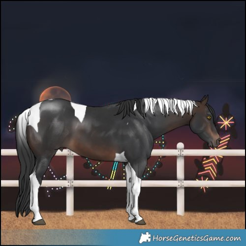 Horse Color:Brown Tobiano