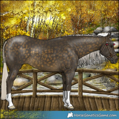 Horse Color:Silver Buckskin 