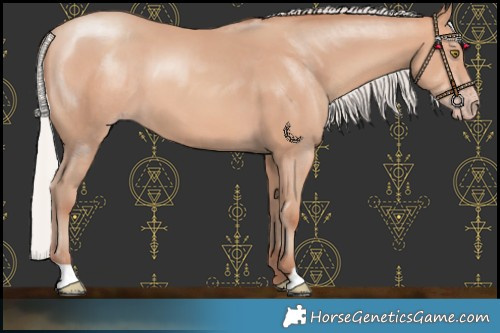 Horse Color:Silver Amber Champagne