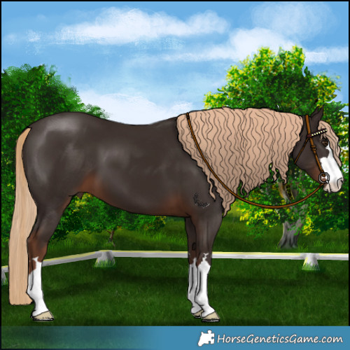 Horse Color:Liver Chestnut 