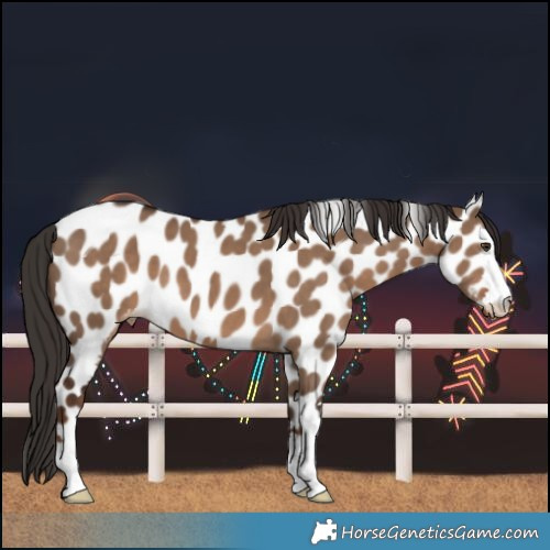 Horse Color:Liver Red Dun Leopard