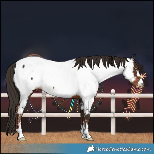 Horse Color:Liver Chestnut Near Fewspot