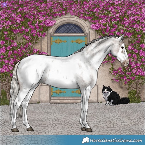 Horse Color:White Spotted Silver Blue Roan Splash Frame Blanket