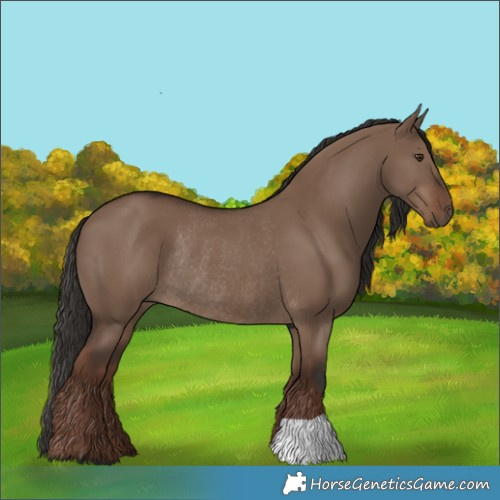 Horse Color:Liver Red Dun Rabicano