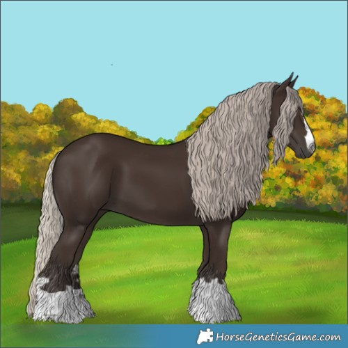 Horse Color:Gray Silver Black 