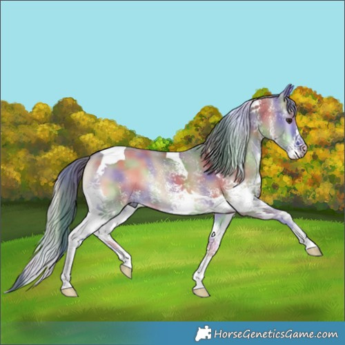 Horse Color:Nacre Watercolor White Spotted Red Dun Onyx Tobiano 
