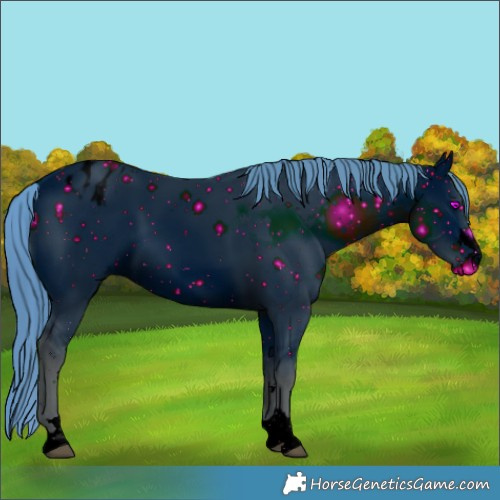 Horse Color:ERROR: UNKNOWN ANOMALY