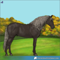 Horse Color:Liver Chestnut Mushroom 