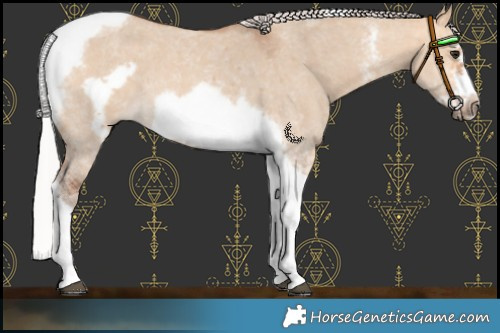 Horse Color:Silver Bay Dun Sabino Tobiano Frame Rabicano 