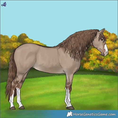 Horse Color:Liver Red Dun 