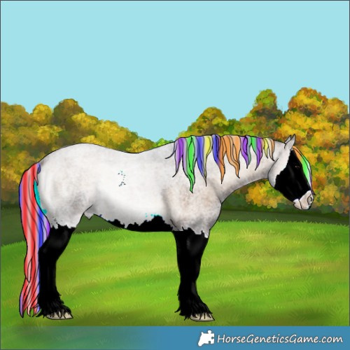 Horse Color:Painted Silver Brown Roan Onyx Sabino Splash 