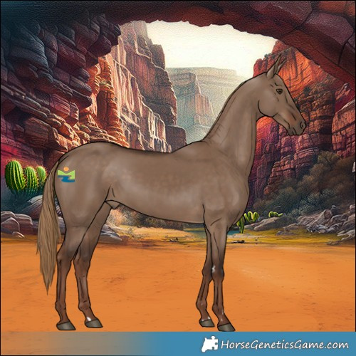 Horse Color:Liver Red Dun 