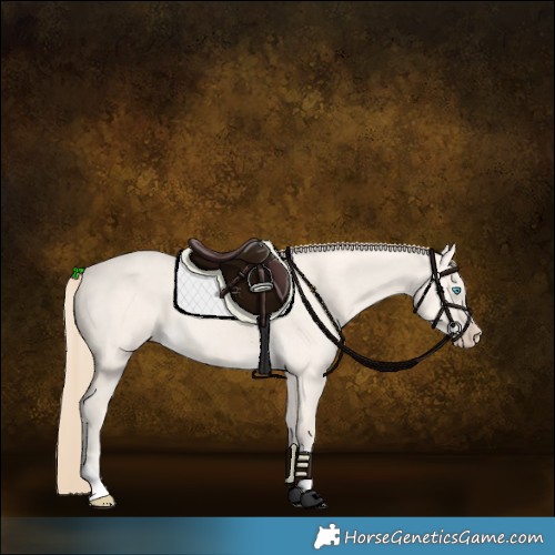 Horse Color:Perlino Dun Tobiano 