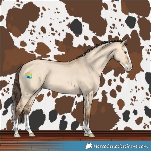 Horse Color:Amber Champagne Dun Splash