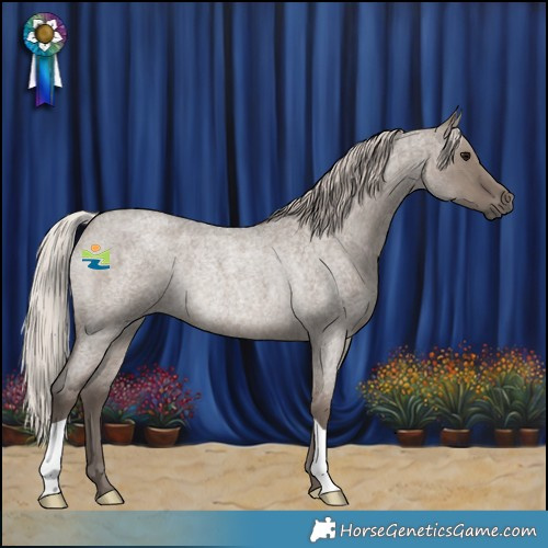 Horse Color:Silver Grullo Roan Rabicano 