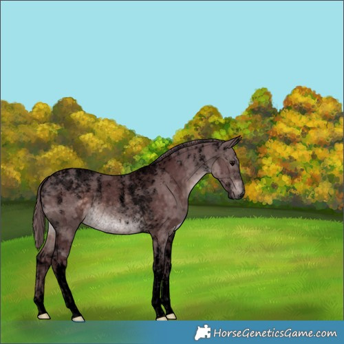 Horse Color:Powder White Void Platinum Chocolate Brown Merle Tobiano Rabicano 