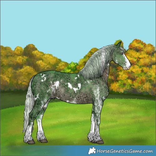Horse Color:Watercolor White Spotted Silver Black Chinchilla Ice Rabicano