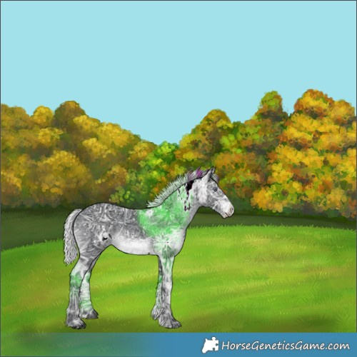 Horse Color:White Spotted Silver Brown Chinchilla Ice