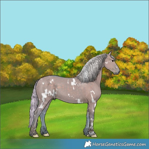Horse Color:Watercolor White Spotted Silver Grullo 