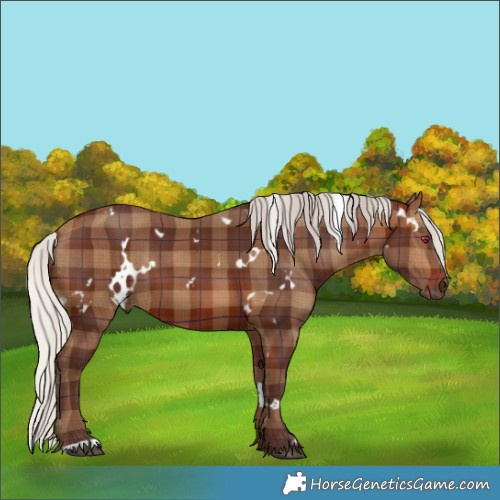 Horse Color:Plaid White Spotted Silver Bay
