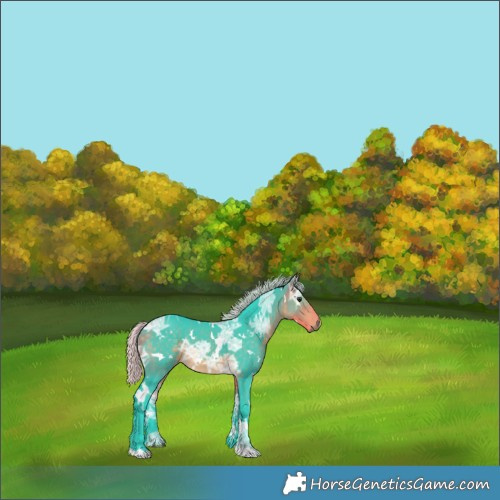 Horse Color:Watercolor White Spotted Silver Buckskin Ice
