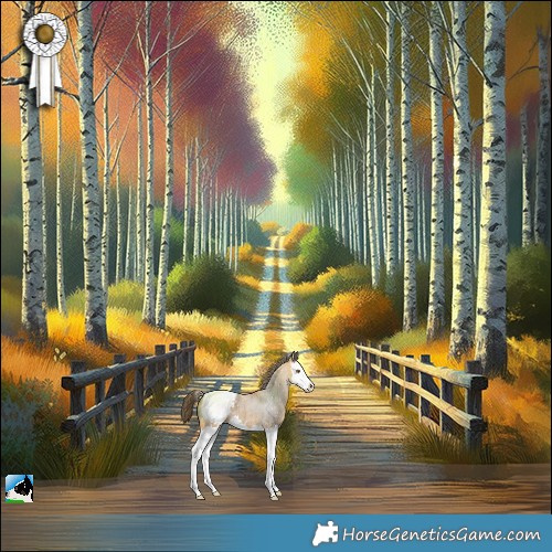 Horse Color:Buckskin Roan Merle Splash Snowcap