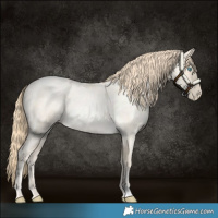 Horse Color:Buckskin Roan Pearl  and Buckskin Roan Pearl 