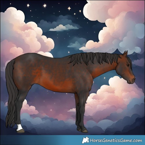 Horse Color:Brown 