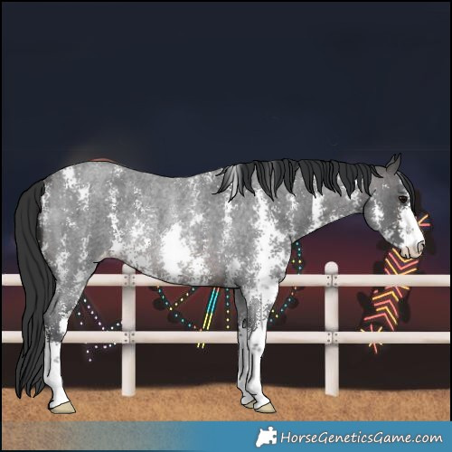 Horse Color:Brown Roan Sabino Varnish Rabicano 