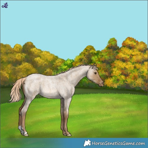 Horse Color:Chocolate Palomino Roan Dun Varnish 